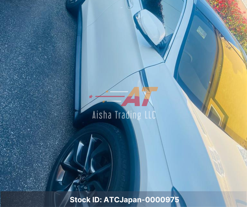 2019 Infinity QX50